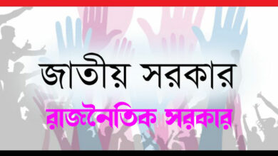 জাতীয় সরকার বনাম রাজনৈতিক সরকার