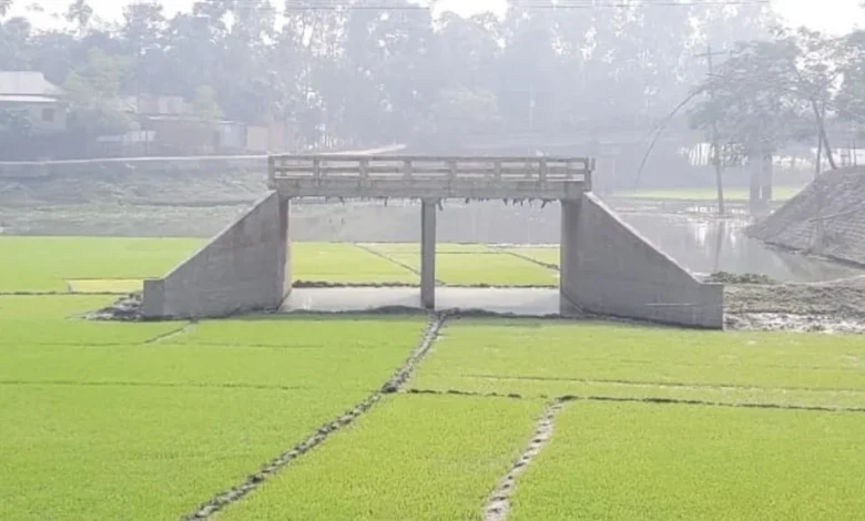 ইসলামপুরে ধানক্ষেতে ৩৭ লাখ টাকার সেতু ইসলামপুরে ধানক্ষেতে ৩৭ লাখ টাকার সেতু