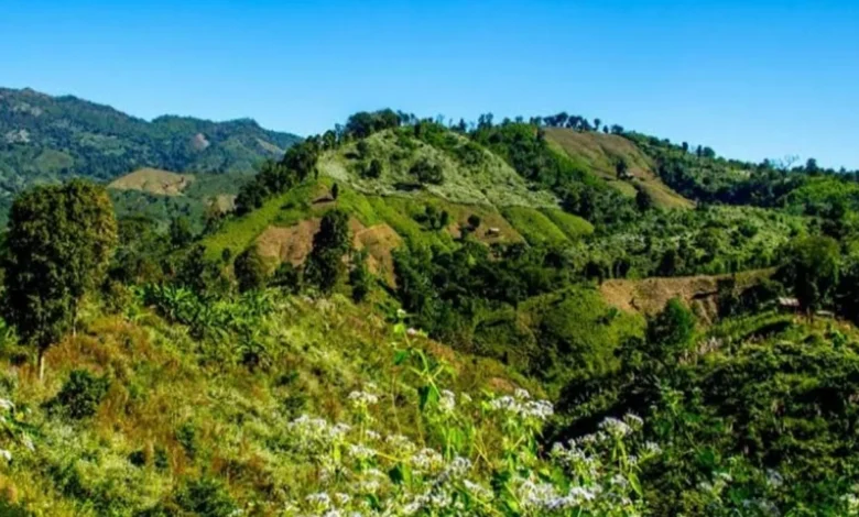 এবার লামায় ২৬ রাবার শ্রমিক অপহরণ, মুক্তিপণ দাবি এবার লামায় ২৬ রাবার শ্রমিক অপহরণ, মুক্তিপণ দাবি