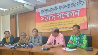 গ্যাস-বিদ্যুতের দাম না বাড়ানোর দাবি ক্যাবের