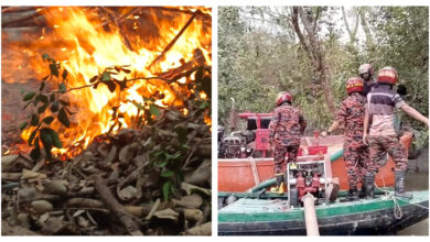 এখনও নেভেনি আগুন, রাতভর পুড়বে সুন্দরবন