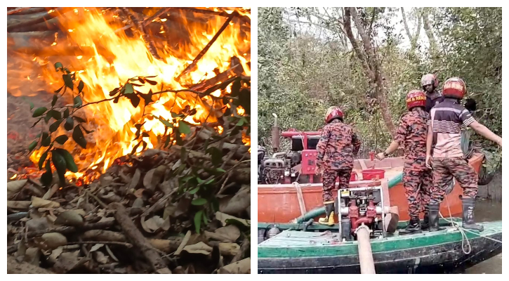 এখনও নেভেনি আগুন, রাতভর পুড়বে সুন্দরবন এখনও নেভেনি আগুন, রাতভর পুড়বে সুন্দরবন