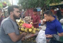 বেনাপোল সহ শার্চায় হাট বাজারে জমে উঠেছে লোভনীয় ফল তাল শাঁস বেচাকেনা