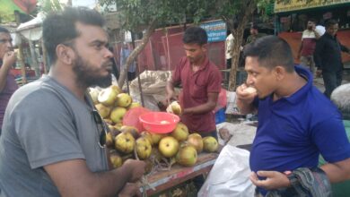 বেনাপোল সহ শার্চায় হাট বাজারে জমে উঠেছে লোভনীয় ফল তাল শাঁস বেচাকেনা