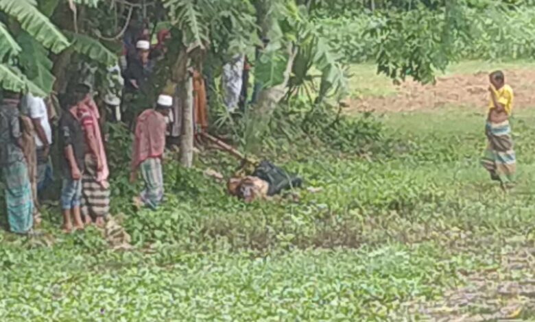 রাজবাড়ীতে পুকুর থেকে অজ্ঞাত যুবকের মরদেহ উদ্ধার 