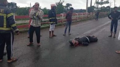 রাজবাড়ীতে ট্রাক চাপায় মোটর সাইকেল আরোহী নিহত ১