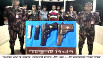 শার্শা সীমান্ত থেকে অস্ত্রসহ আটক ২