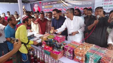 মানুষ চায় ডিসেম্বরেই নির্বাচন – আমিনুল হক