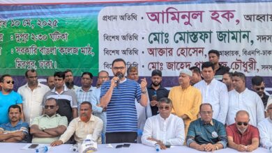 রাষ্ট্রপতি পালানোয় ব্যর্থতা অন্তবর্তীকালীন সরকারের : আমিনুল হক