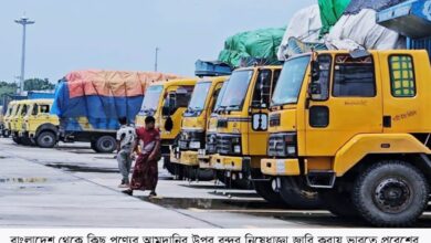 বেনাপোলে আটকে গেছে ৩৬টি গার্মন্টেস পণ্যবোঝাই ট্রাক