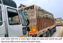 সাভার প্রাণী সম্পদ ও গবেষনা-উন্নয়ন কেন্দ্রের জন্য ভারত থেকে আমদানি হলো ৯৫টি মহিষ