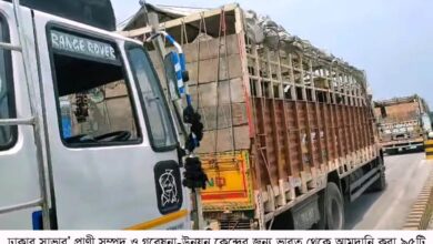সাভার প্রাণী সম্পদ ও গবেষনা-উন্নয়ন কেন্দ্রের জন্য ভারত থেকে আমদানি হলো ৯৫টি মহিষ