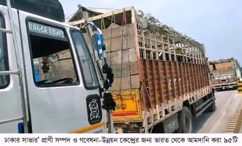 সাভার প্রাণী সম্পদ ও গবেষনা-উন্নয়ন কেন্দ্রের জন্য ভারত থেকে আমদানি হলো ৯৫টি মহিষ সাভার প্রাণী সম্পদ ও গবেষনা-উন্নয়ন কেন্দ্রের জন্য ভারত থেকে আমদানি হলো ৯৫টি মহিষ