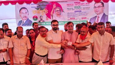 পতিত আ.লীগের চাঁদাবাজ-দখলদাররা বিএনপিতে অনুপ্রবেশের চেষ্টা করছে: আমিনুল হক