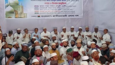 লন্ডনের বৈঠক নিয়ে জামায়াতের মন্তব্যে ক্ষোভ, গণতন্ত্র ফেরাতে ঐক্যবদ্ধ থাকার আহ্বান এ্যানি’র
