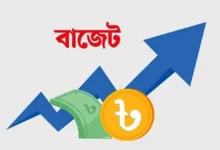 দাম কমতে পারে যেসব পণ্যের