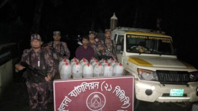 শার্শা’র সীমান্তে ভারতীয় চিংড়ির রেণু পোনা সহ আটক-১