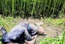 মাদারীপুরে পাটক্ষেত থেকে জলিল শিকদারের লাশ উদ্ধার, এলাকায় চাঞ্চল্য
