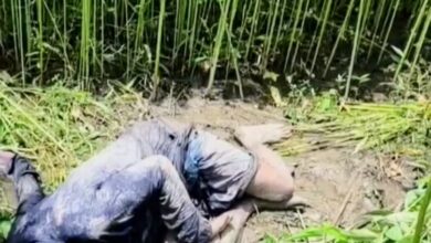 মাদারীপুরে পাটক্ষেত থেকে জলিল শিকদারের লাশ উদ্ধার, এলাকায় চাঞ্চল্য