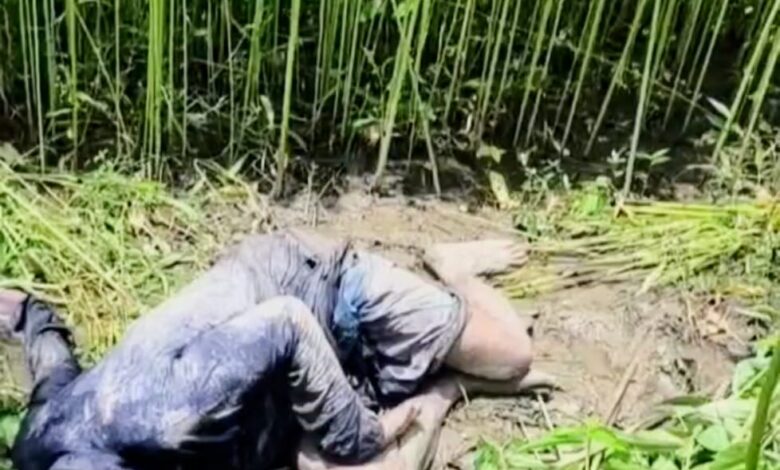 মাদারীপুরে পাটক্ষেত থেকে জলিল শিকদারের লাশ উদ্ধার, এলাকায় চাঞ্চল্য মাদারীপুরে পাটক্ষেত থেকে জলিল শিকদারের লাশ উদ্ধার, এলাকায় চাঞ্চল্য