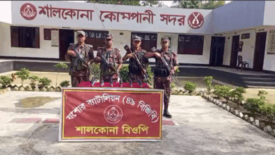 যশোর সীমান্তে বিজিবির অভিযানে বিপুল পরিমাণ ভারতীয় মালামাল আটক