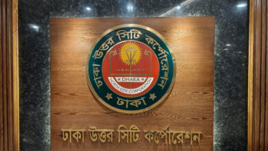 নগর পরিকল্পনা-ব্যবস্থাপনায় ডিএনসিসির কমিটি