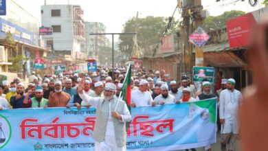 মানুষের অধিকার প্রতিষ্ঠায় দাঁড়িপাল্লায় ভোট দিন: অধ্যক্ষ আশরাফুল হক