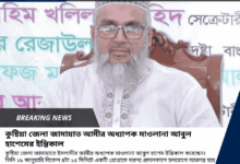 কুষ্টিয়া জেলা জামায়াত আমীর অধ্যাপক মাওলানা আবুল হাশেমের ইন্তিকাল