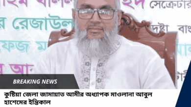 কুষ্টিয়া জেলা জামায়াত আমীর অধ্যাপক মাওলানা আবুল হাশেমের ইন্তিকাল