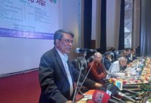 জুলাই সনদের মূল কথা মানুষের অধিকার নিশ্চিত করা—অধ্যাপক আলী রীয়াজ