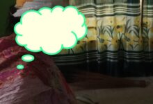 নির্বাচনী প্রচারণায় নারী কর্মীর ওপর বর্বর হামলা, গুরুতর আহত অবস্থায় হাসপাতালে ভর্তি