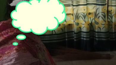 নির্বাচনী প্রচারণায় নারী কর্মীর ওপর বর্বর হামলা, গুরুতর আহত অবস্থায় হাসপাতালে ভর্তি