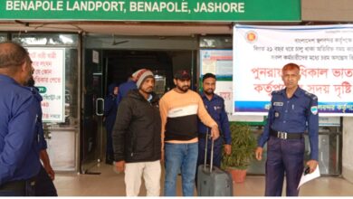 স্টপলিস্টে নাম, বেনাপোল ইমিগ্রেশনে দুই সহোদর আটক