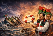 পতিত আওয়ামী লীগকে কেন ফেরাবে বিএনপি?