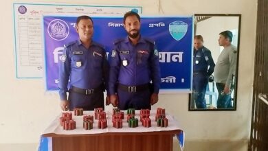 দাগনভূঞা থানার পুকুরে মিলল লুণ্ঠিত ২১৯ গুলি