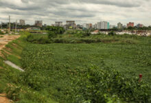 তুরাগের খালপাড় লেকে পঁচা ও নোংরা পানি; রাতে মশা দিনে মাছি, এ নিয়েই বেঁচে আছি