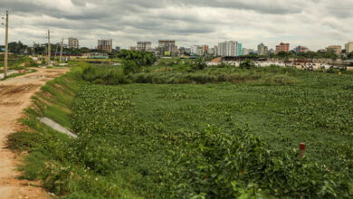 তুরাগের খালপাড় লেকে পঁচা ও নোংরা পানি; রাতে মশা দিনে মাছি, এ নিয়েই বেঁচে আছি