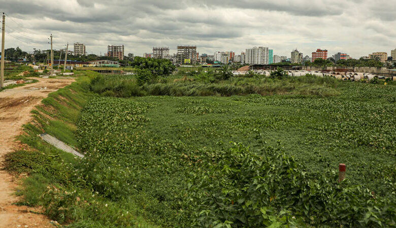 তুরাগের খালপাড় লেকে পঁচা ও নোংরা পানি; রাতে মশা দিনে মাছি, এ নিয়েই বেঁচে আছি তুরাগের খালপাড় লেকে পঁচা ও নোংরা পানি; রাতে মশা দিনে মাছি, এ নিয়েই বেঁচে আছি