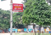 নিকুঞ্জ: যেখানে অটোরিক্সা নেই, শহরের বাতাসে বাজে শান্তির সুর