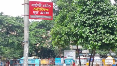 নিকুঞ্জ: যেখানে অটোরিক্সা নেই, শহরের বাতাসে বাজে শান্তির সুর