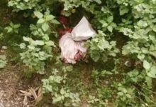 ঝিনাইদহে ব্রিজের নিচে বস্তাভর্তি অজ্ঞাত মাংস উদ্ধার, এলাকায় আতঙ্ক