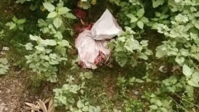 ঝিনাইদহে ব্রিজের নিচে বস্তাভর্তি অজ্ঞাত মাংস উদ্ধার, এলাকায় আতঙ্ক