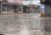 চাঁপাইনবাবগঞ্জে ভয়াবহ শিলাবৃষ্টি: আম বাগানসহ কৃষিখাতে ব্যাপক ক্ষতির আশঙ্কা