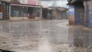 চাঁপাইনবাবগঞ্জে ভয়াবহ শিলাবৃষ্টি: আম বাগানসহ কৃষিখাতে ব্যাপক ক্ষতির আশঙ্কা চাঁপাইনবাবগঞ্জে ভয়াবহ শিলাবৃষ্টি: আম বাগানসহ কৃষিখাতে ব্যাপক ক্ষতির আশঙ্কা
