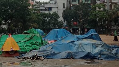 ​মাঠ দখল করে বাণিজ্য: নিকুঞ্জের একমাত্র খেলার মাঠে বৈশাখী মেলার অনুমোদন নিয়ে উদ্বেগ