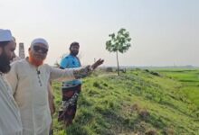 সেচ সংকট নিরসনে চাঁপাইনবাবগঞ্জে এমপি বুলবুলের সরেজমিন পরিদর্শন