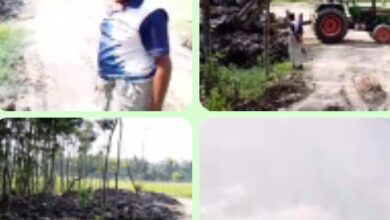যশোরের বাঘারপাড়ায় পুকুর খননের নামে অবৈধভাবে মাটি বিক্রির অভিযোগ