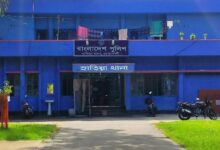 হাতিয়ায় আম গাছ থেকে পড়ে বৃদ্ধ কৃষকের মৃত্যু
