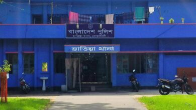 হাতিয়ায় আম গাছ থেকে পড়ে বৃদ্ধ কৃষকের মৃত্যু