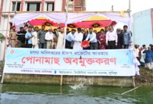 কৃষকের টেকসই উন্নয়নে কাজ করছে সরকার, কুমিল্লায় কৃষিমন্ত্রী